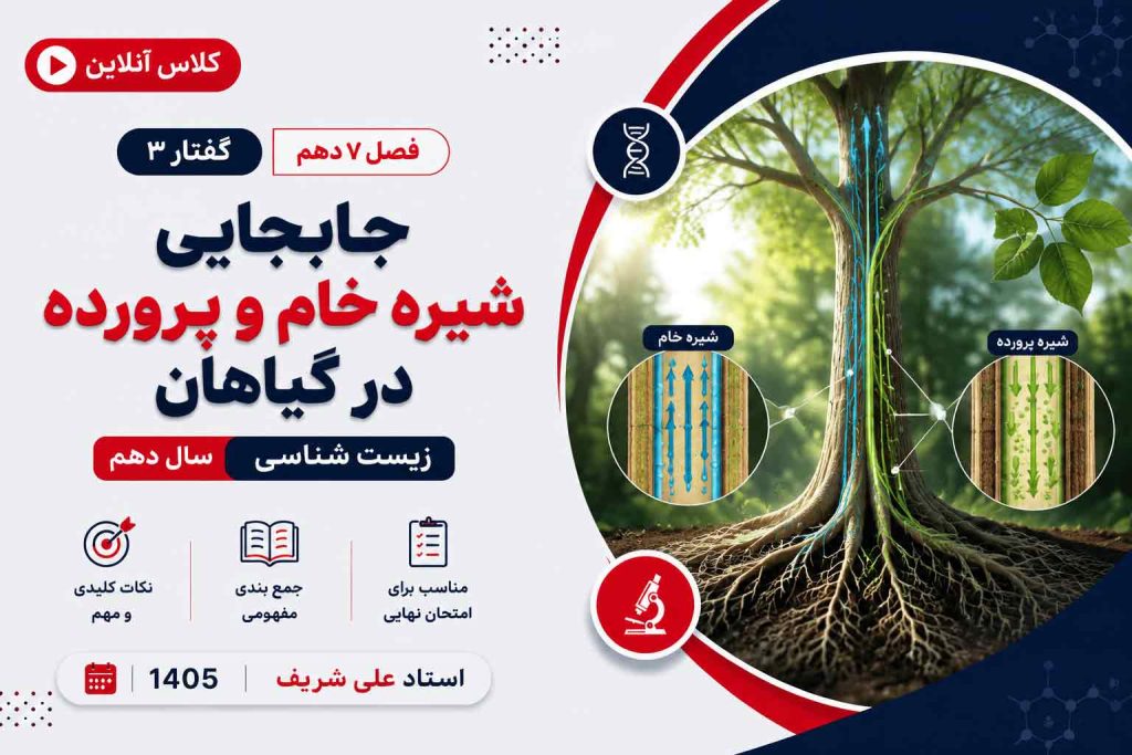 جابجایی شیره خام و پرورده در گیاهان