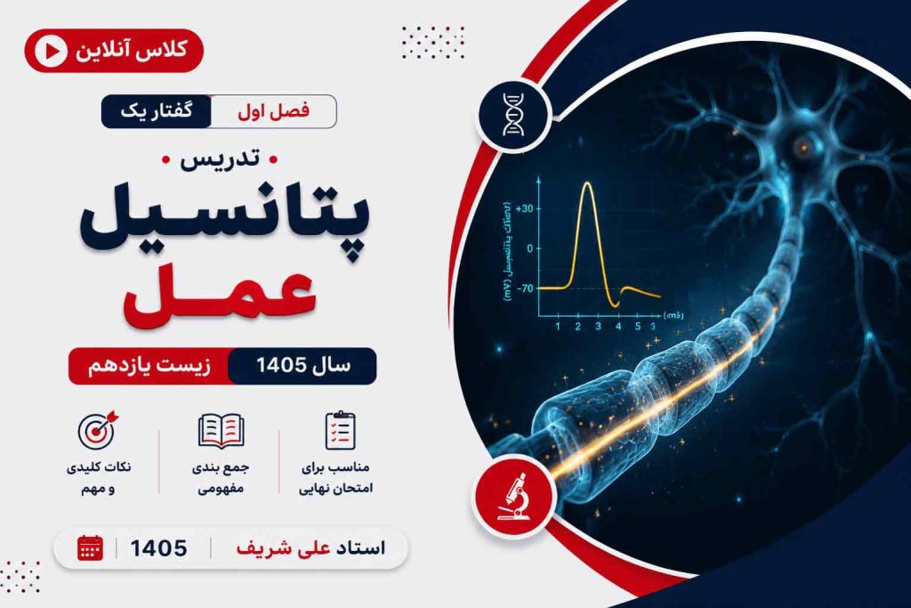تدریس پتانسیل عمل دکتر علی شریف